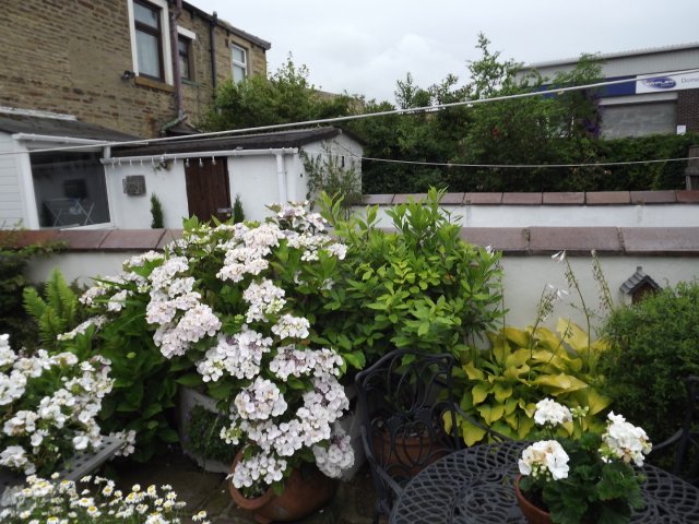 BarrowfordBestKeptGardens2019_139_25pc
