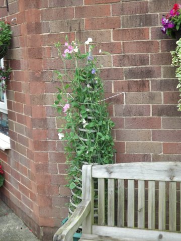 BarrowfordBestKeptGardens2019_152_25pc