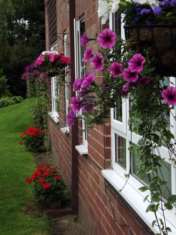BarrowfordBestKeptGardens2019_159_25pc