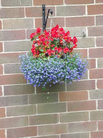 BarrowfordBestKeptGardens2019_170_25pc