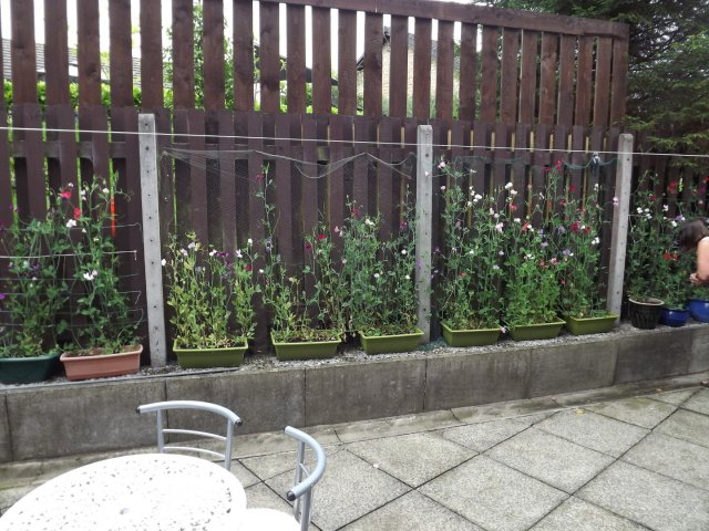 BarrowfordBestKeptGardens2019_176_25pc