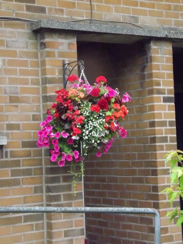 BarrowfordBestKeptGardens2019_189_25pc