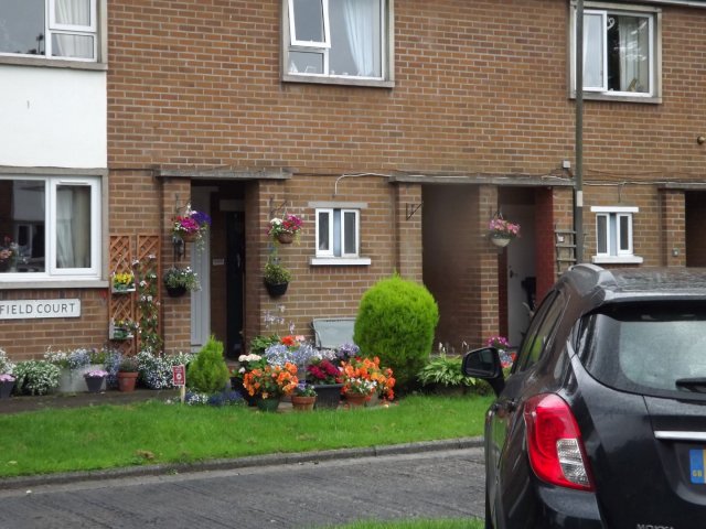BarrowfordBestKeptGardens2019_191_25pc