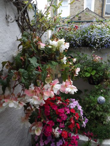 BarrowfordBestKeptGardens2019_192_25pc