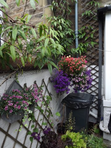 BarrowfordBestKeptGardens2019_196_25pc