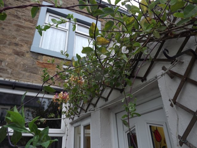 BarrowfordBestKeptGardens2019_198_25pc