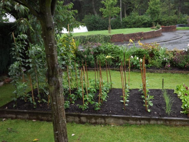 BarrowfordBestKeptGardens2019_246_25pc