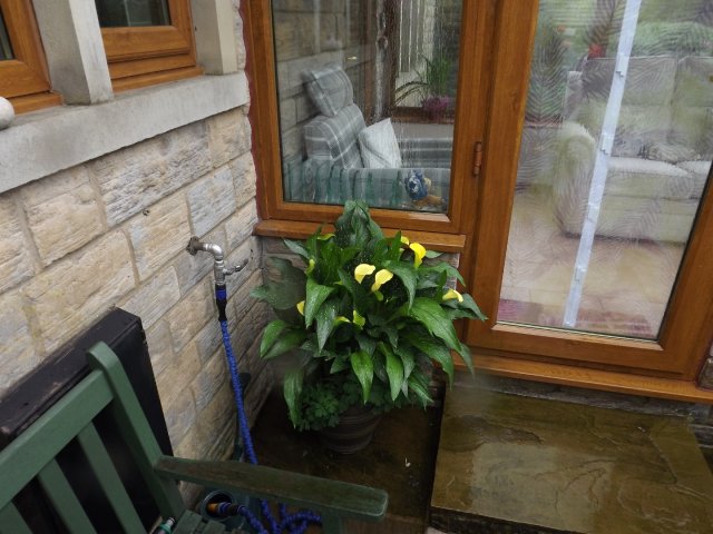 BarrowfordBestKeptGardens2019_269_25pc