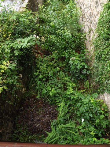 BarrowfordBestKeptGardens2019_284_25pc