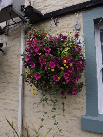 BarrowfordBestKeptGardens2019_288_25pc