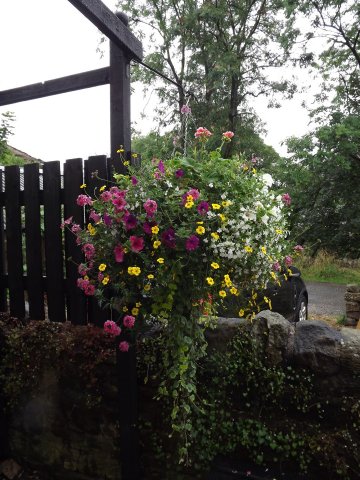BarrowfordBestKeptGardens2019_292_25pc