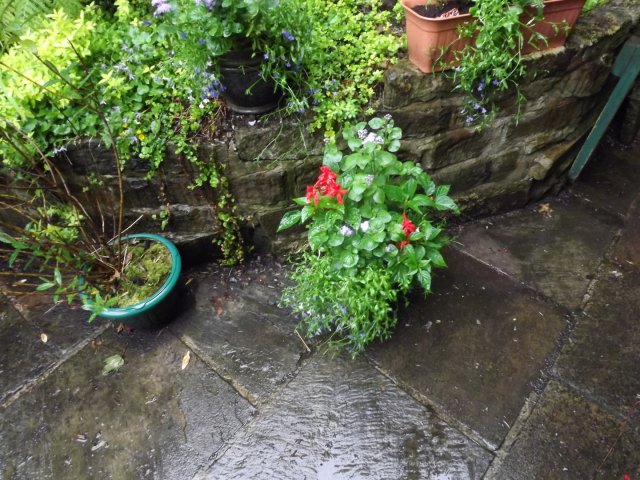 BarrowfordBestKeptGardens2019_309_25pc