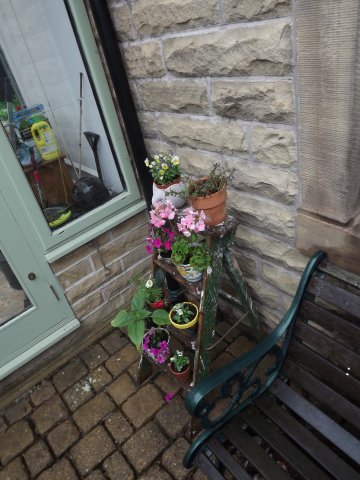BarrowfordBestKeptGardens2019_322_25pc