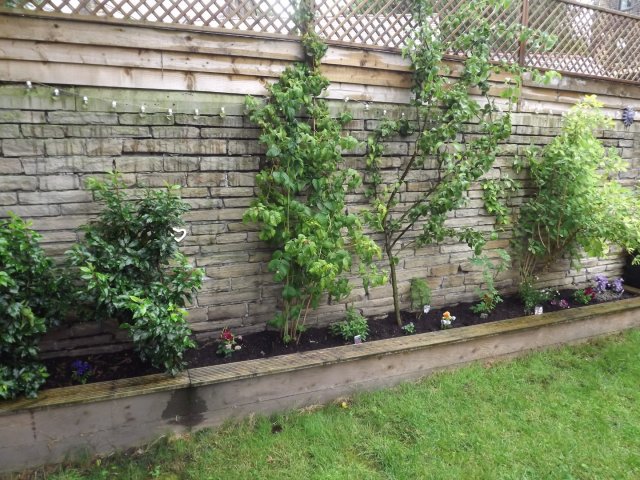 BarrowfordBestKeptGardens2019_324_25pc