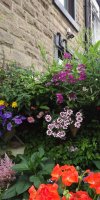 BarrowfordBestKeptGardens2019_047_25pc
