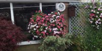 BarrowfordBestKeptGardens2019_214_25pc