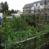 BarrowfordBestKeptGardens2019_117_25pc